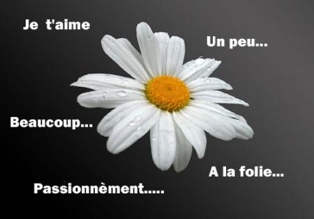 tu m'aime de quelle manier
