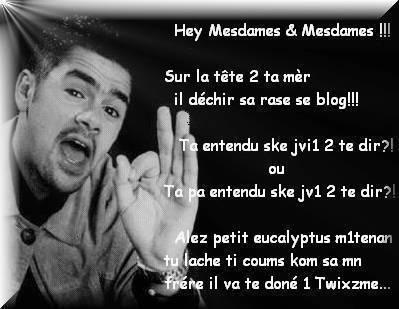 IL DECHIRE SE  BLOG